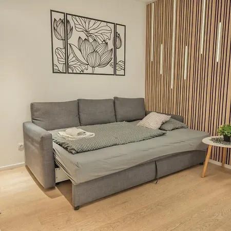 Apartmán 2br-private Parking-balcony-prague Center-sleeps 6 Praha